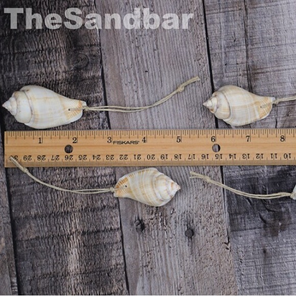 Shell Ornament Gift Set of 6 Natural Decorations Beach Wedding Favor TheSandbar - Picture 2 of 4